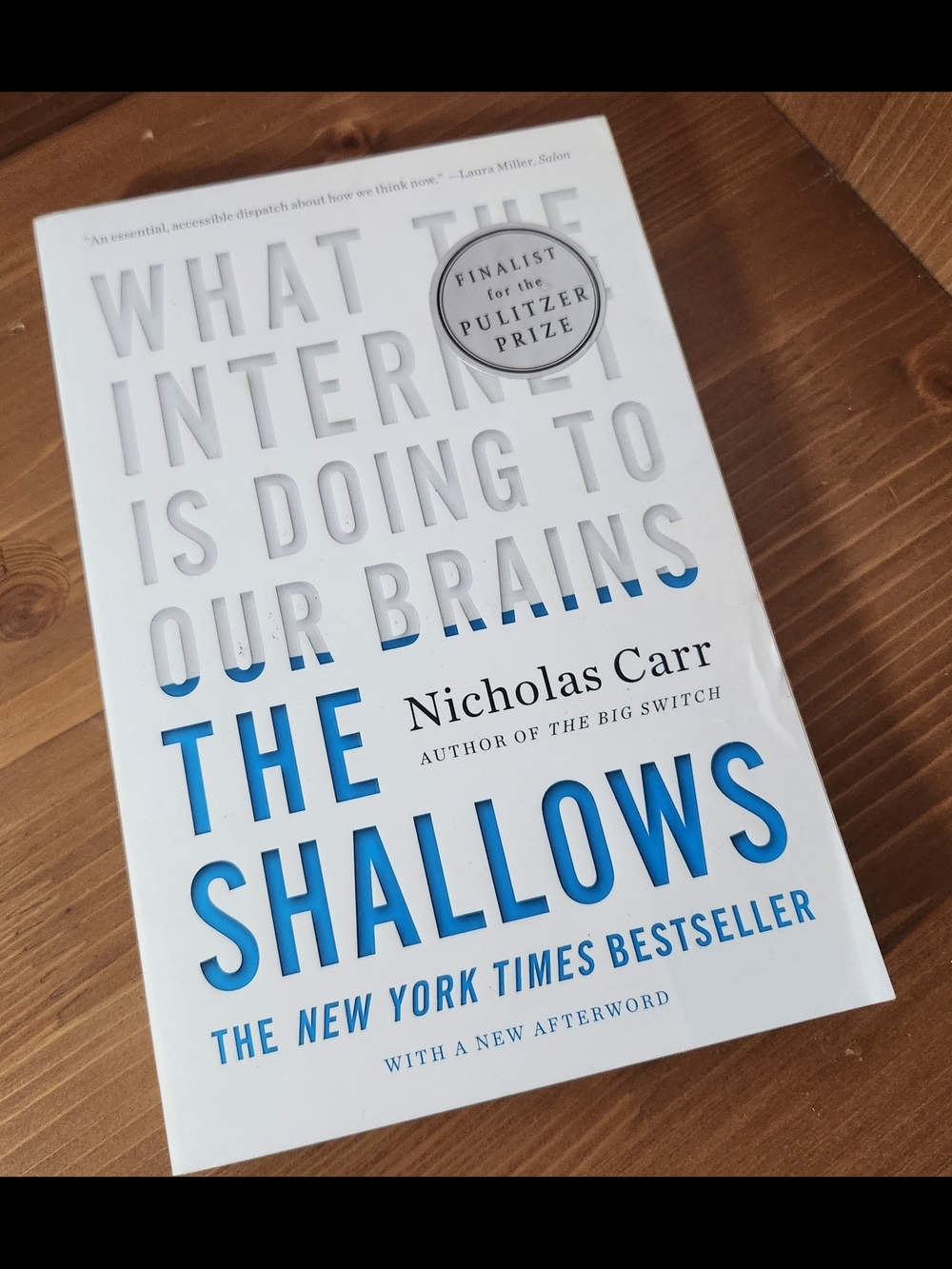 The Shallows by Nicholas Carr What The Internet Is Doing To Our Brains Paperback